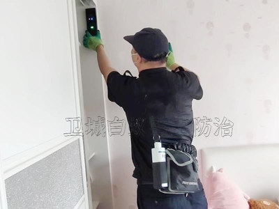 守護南城家園 專業白蟻防治服務，構筑安全防線