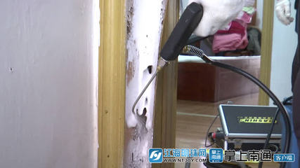 白蟻分飛高峰將至，南通應用新技術提升防治服務水平