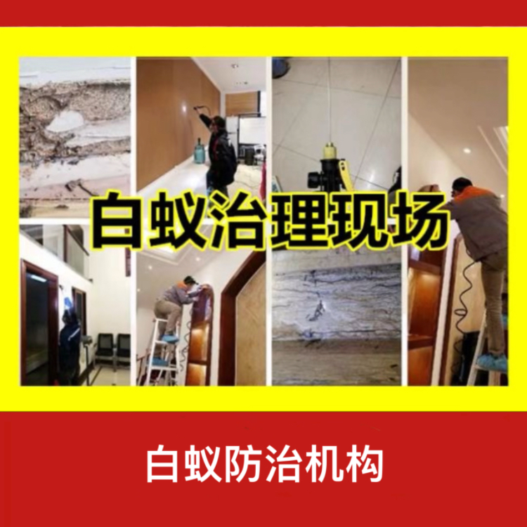 浦口區專業白蟻防治服務 官方指定站點與上門服務指南
